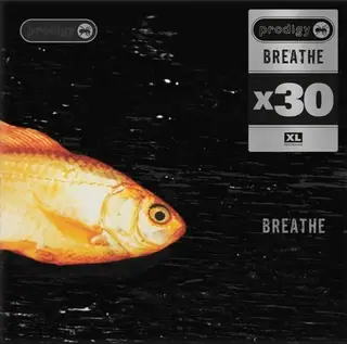 Electronic Prodigy - Breathe x30 (November 13, 2026)