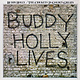 Rock/Pop Buddy Holly / The Crickets - 20 Golden Greats (VG+/VG+)