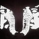 Rock/Pop Death From Above 1979 - Private Lines (Hazmat Coloured Vinyl) (January 29, 2026)