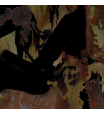 Experimental Ylangylang - Cycles & Decay (New Cassette)
