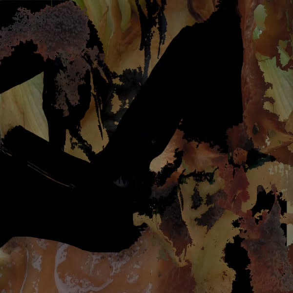 Experimental Ylangylang - Cycles & Decay (New Cassette)