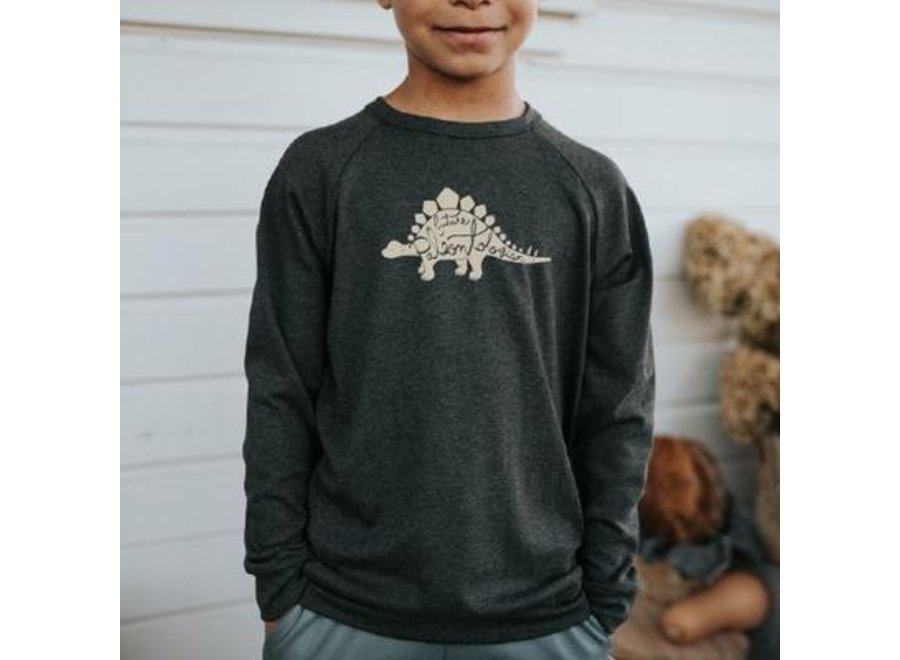 Youth pullover - 'Future Paleontologist'