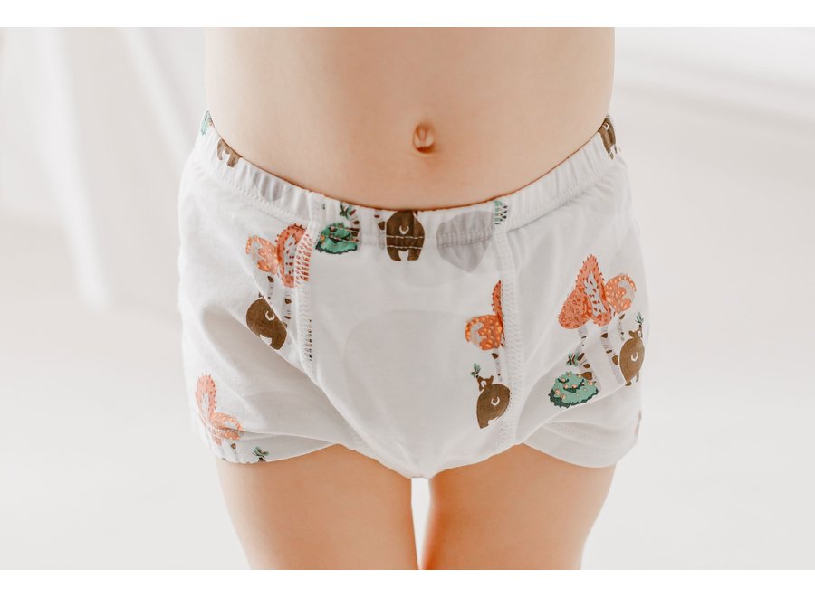 Toddler Underwear, Bamboo Boys Underwear