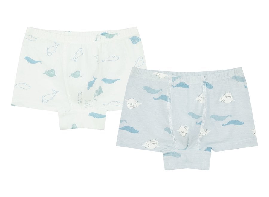 Boys Bamboo 2-pack boxers