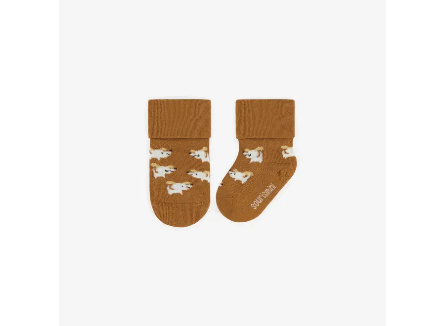 Brown stretch socks with dogs