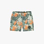 Green Tropical Baby  Swim Shorts