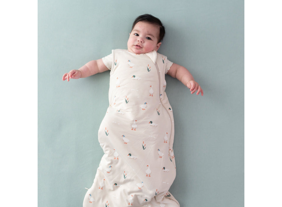Sleep Bag 1.0 Tog