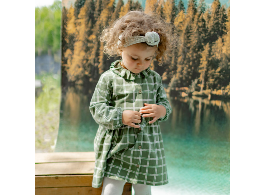 Green plaid dress baby
