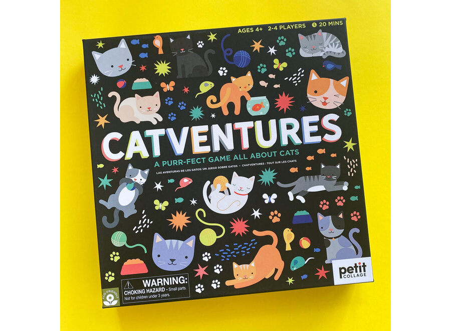 Catventures game