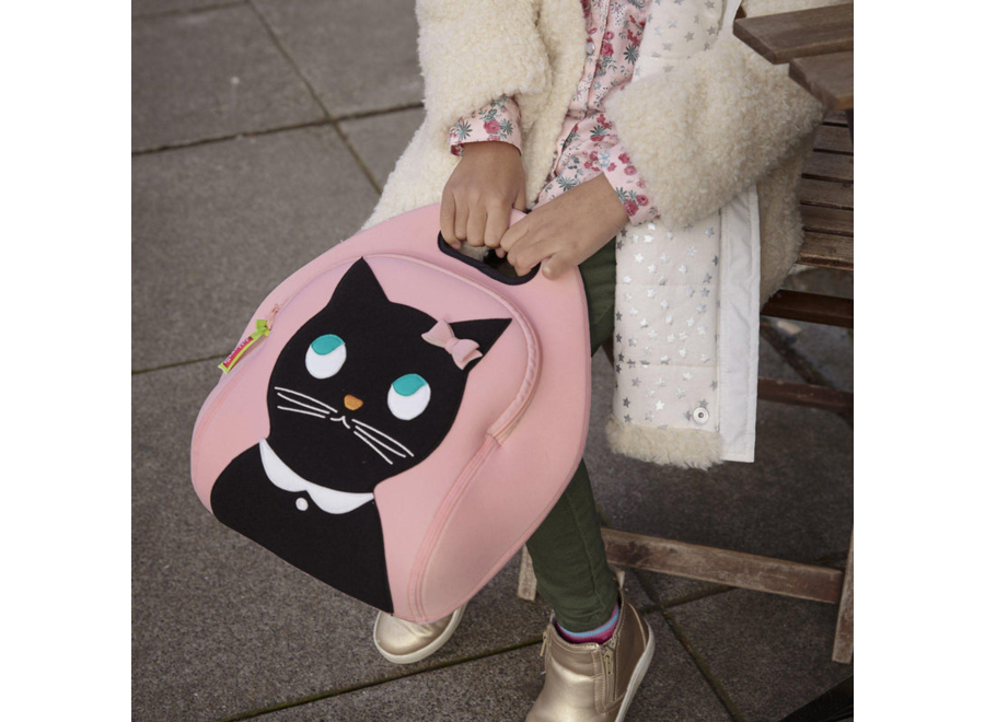 Insulated lunch bag