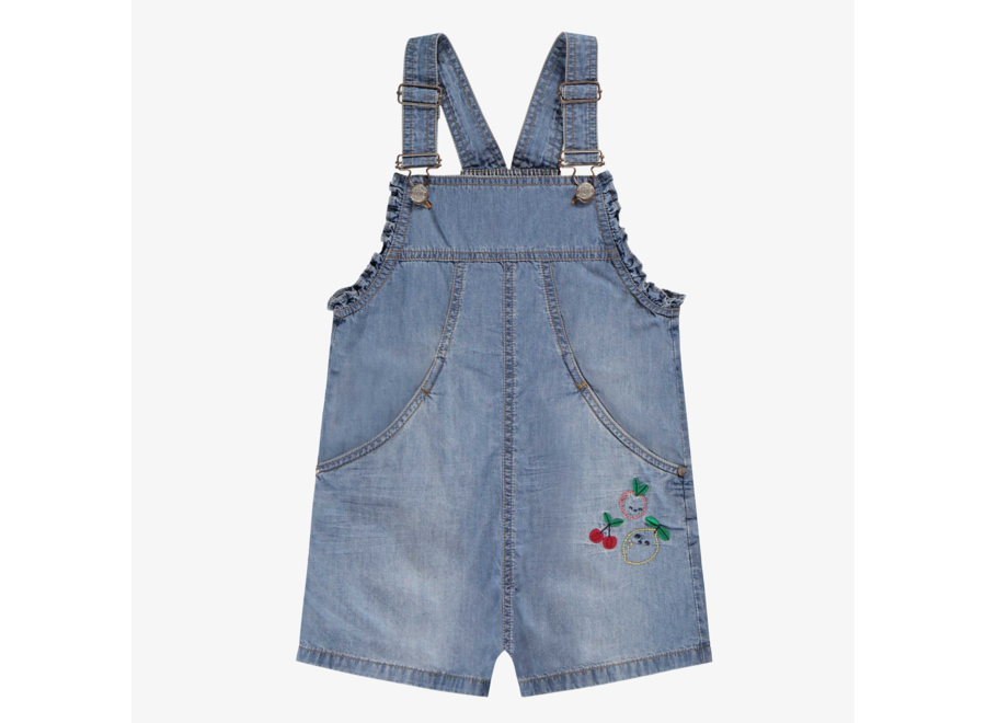 Light blue denim overalls with embroidery