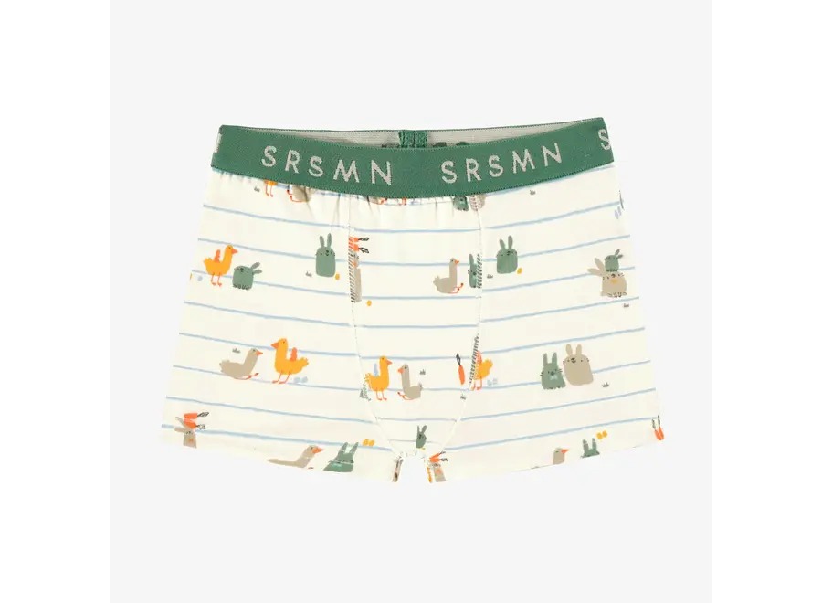 Cream & Green Printed Boxers