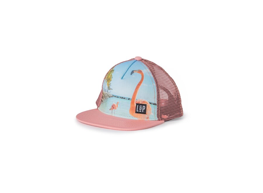 Mesh Snapback