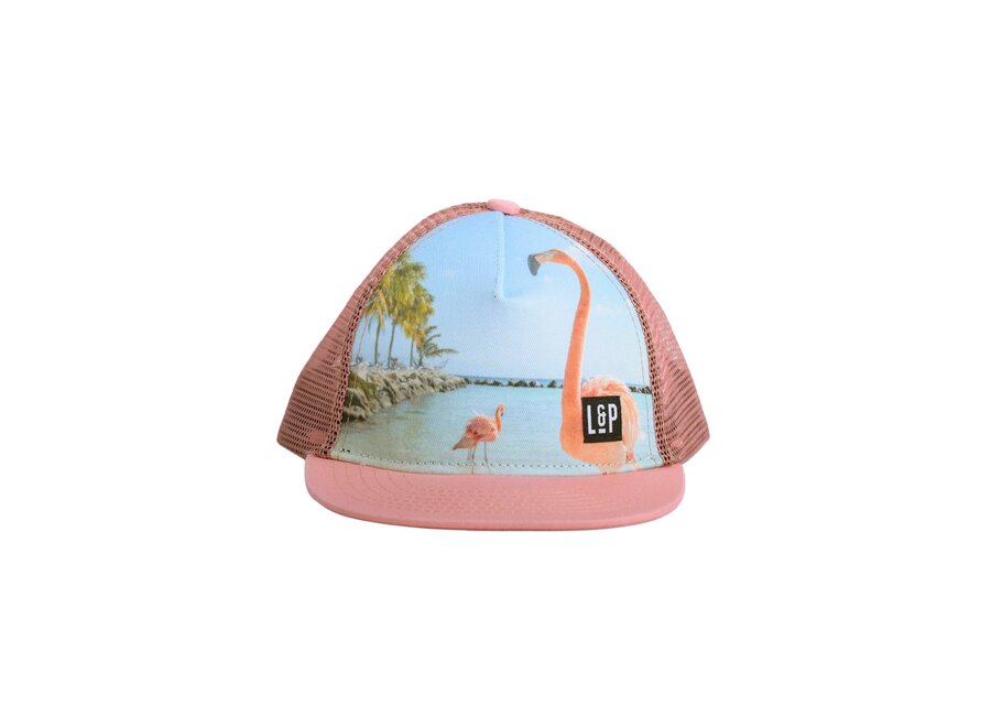 Mesh Snapback