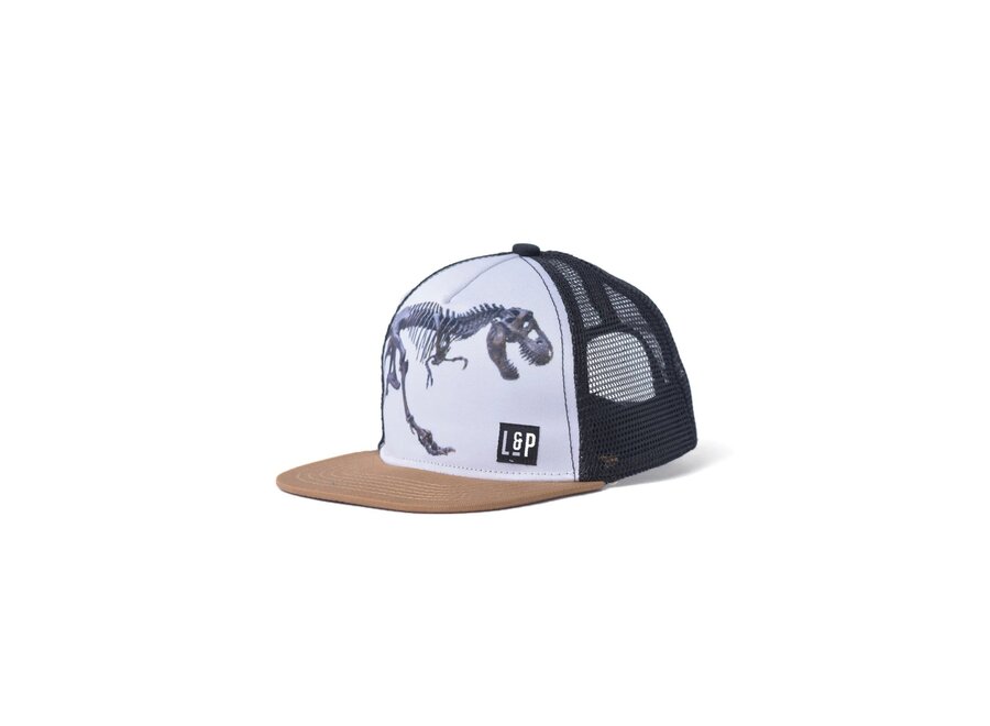 Mesh Snapback