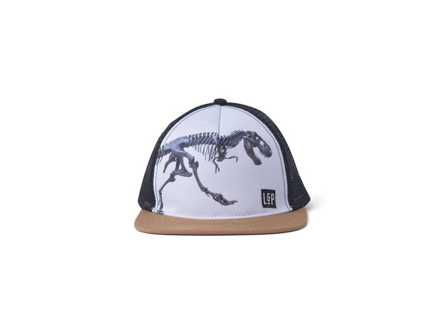 Mesh Snapback