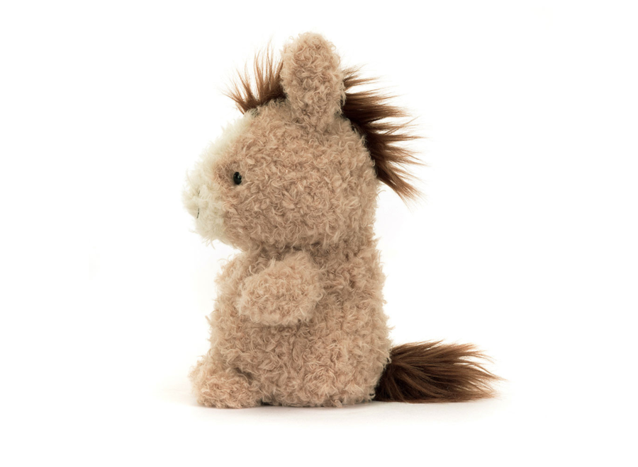 Little Horse