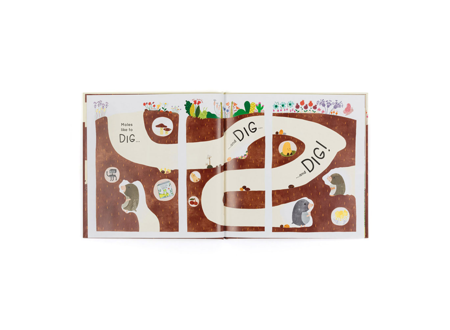 Muswell Mole and the Buried Treasure book