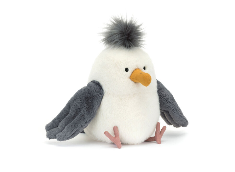 Chip Seagull