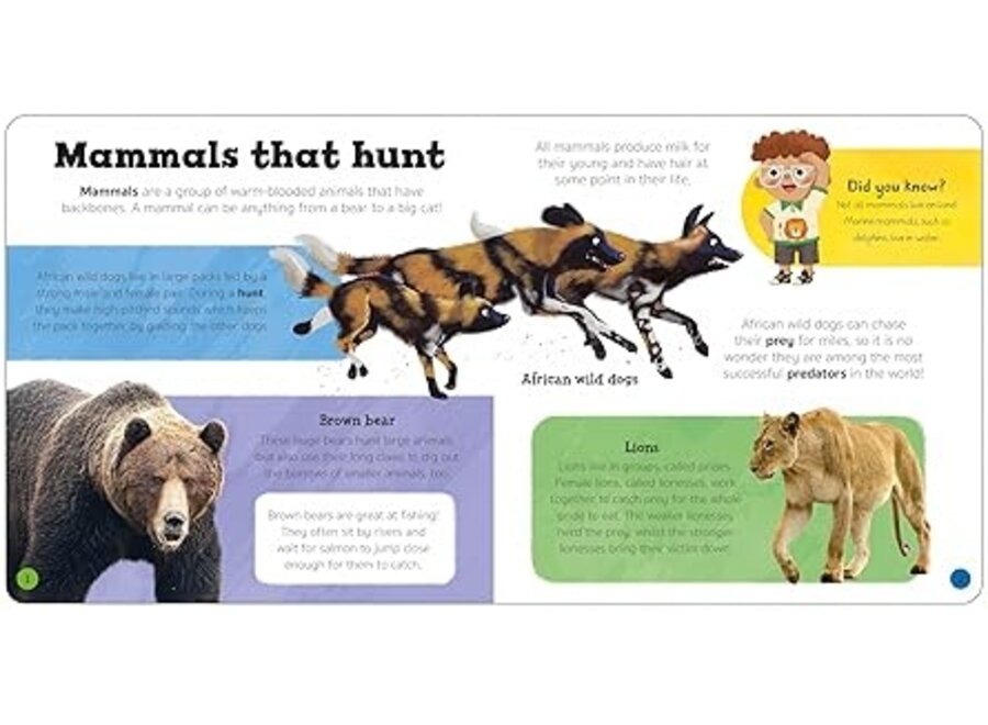 Priddy Explorers: Predators