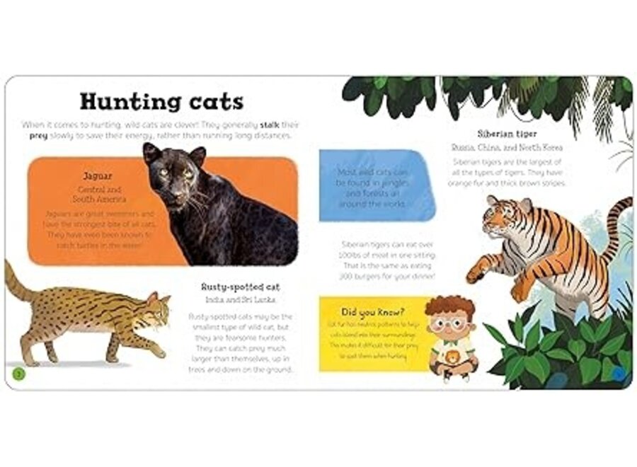 Priddy Explorers: Predators