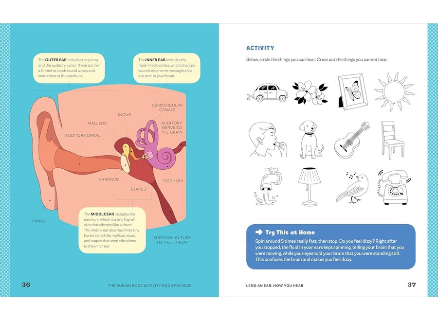 Human Body Activity Book