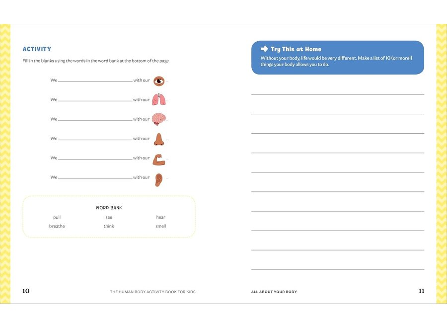Human Body Activity Book