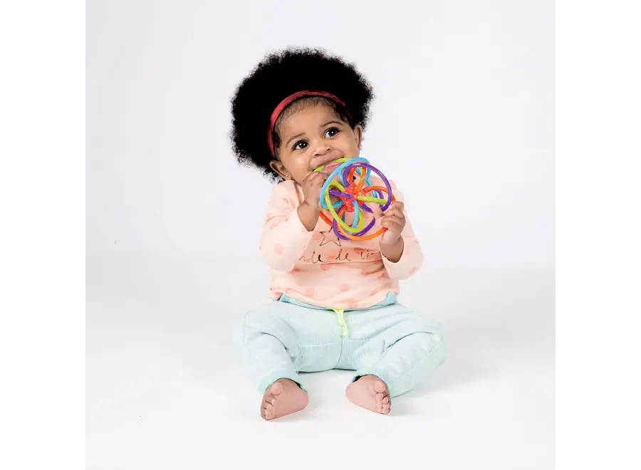 Winkel Rattle & Sensory Teether Toy