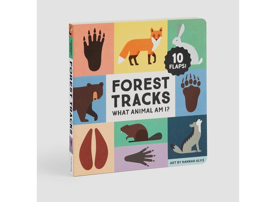 Forest Tracks: What Animal Am I