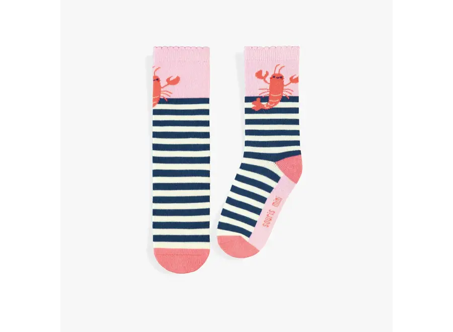 Cream and Navy Socks with Stripes and Lobsters
