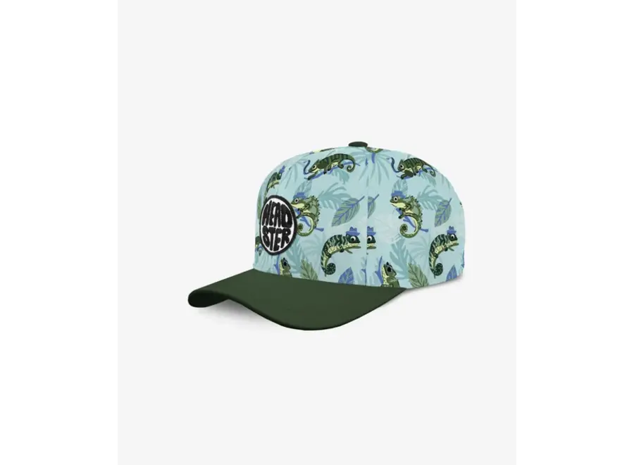 Curved Brim Snapback 2026