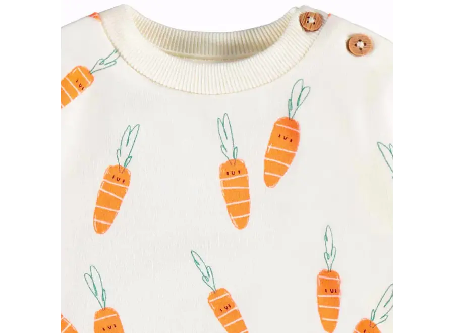 Cream Sweater with Carrots