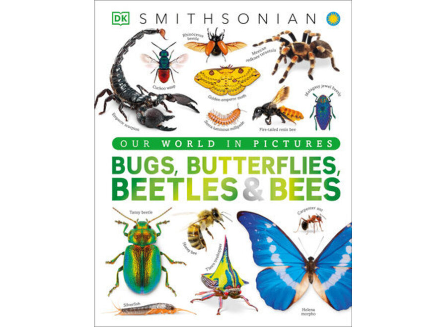 Bugs, Butterflies, Beetles & Bees