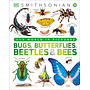 Bugs, Butterflies, Beetles & Bees