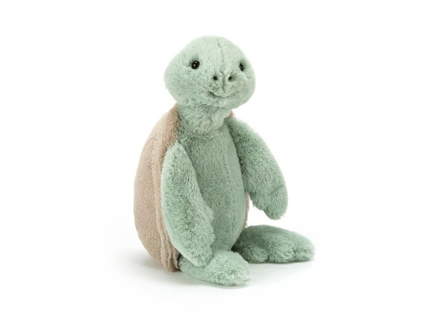 Bashful Turtle Original