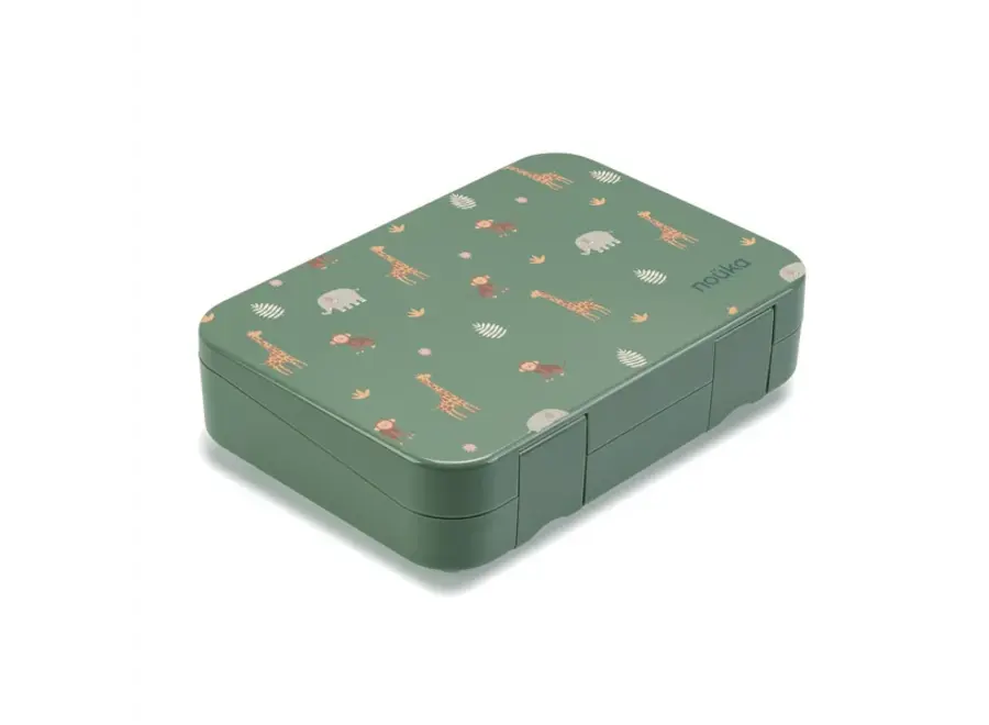 Design Bento Chill Lunch Box