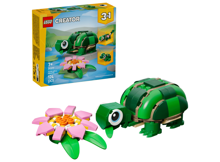 Turtle With A Water Lily Flower