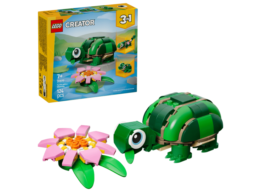 Turtle With A Water Lily Flower