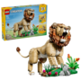 Wild Animals: Majestic Lion