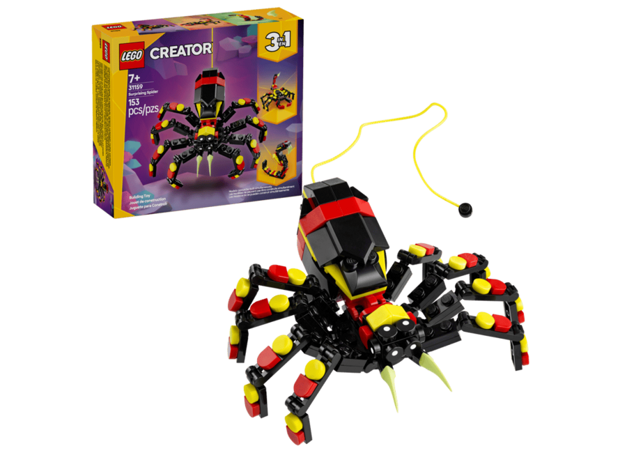 Wild Animal: Surprising Spider