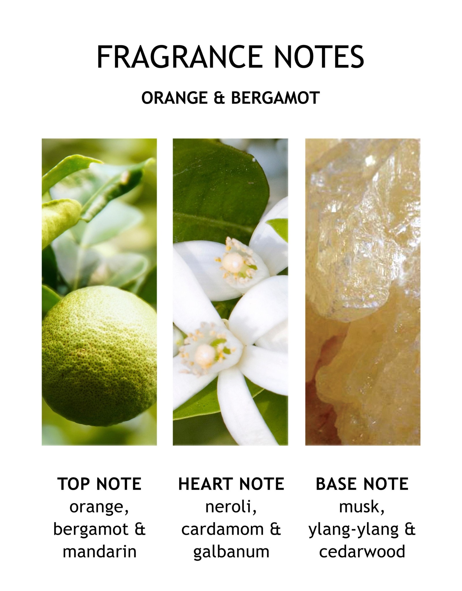 MBL Aroma Reeds  Orange + Bergmot