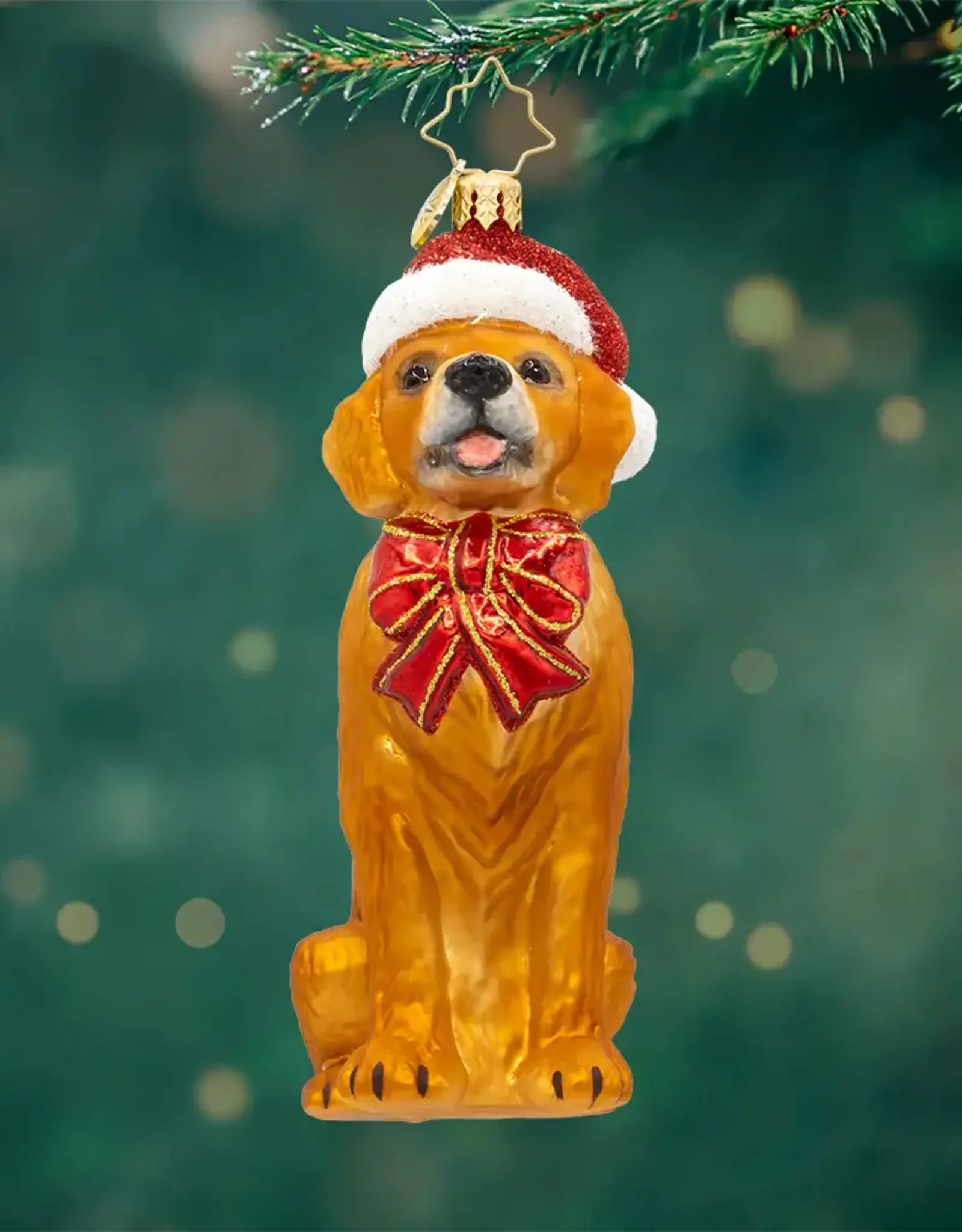 Radko Golden Paws Pal