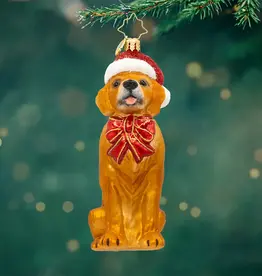 Radko Golden Paws Pal