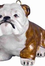 JTW Bulldog Brown and White