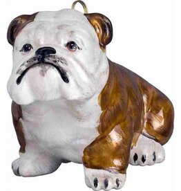 JTW Bulldog Brown and White