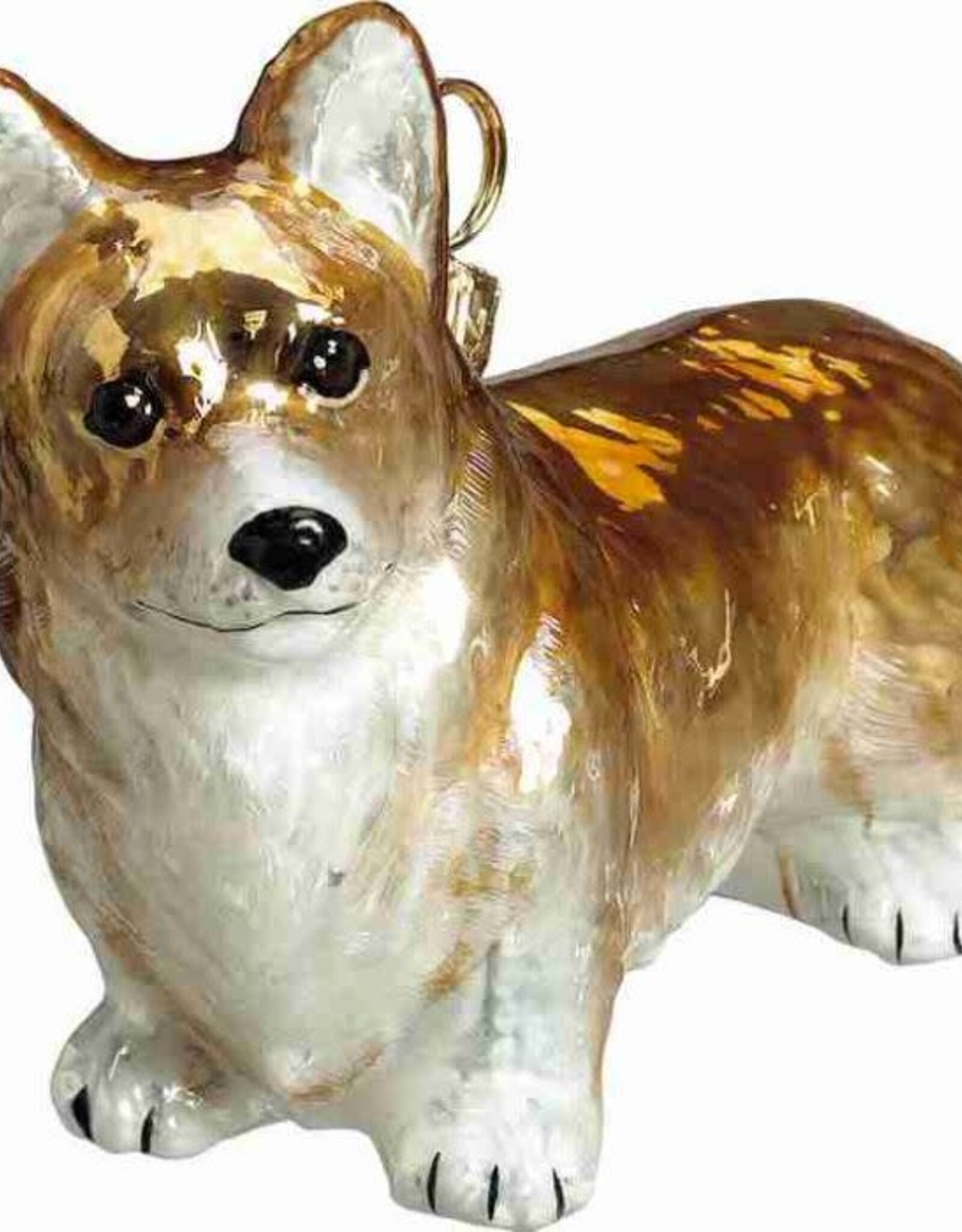 JTW Pembroke Welsh Corgi