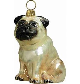 JTW Pug Fawn
