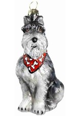 JTW Schnauzer Gray w/ Bandana