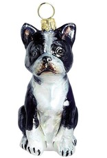 JTW Boston Terrier