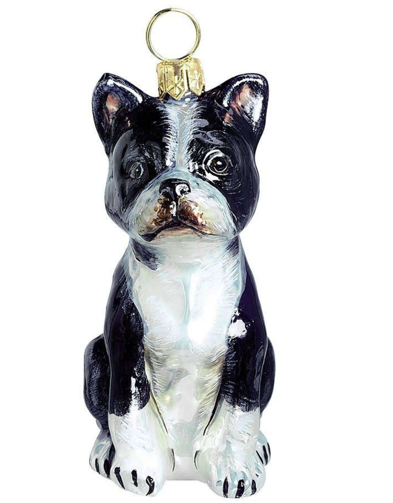 JTW Boston Terrier